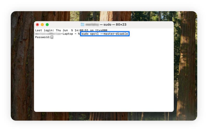 A screenshot showing how to disable Gatekeeper, a Google security feature, in Terminal.