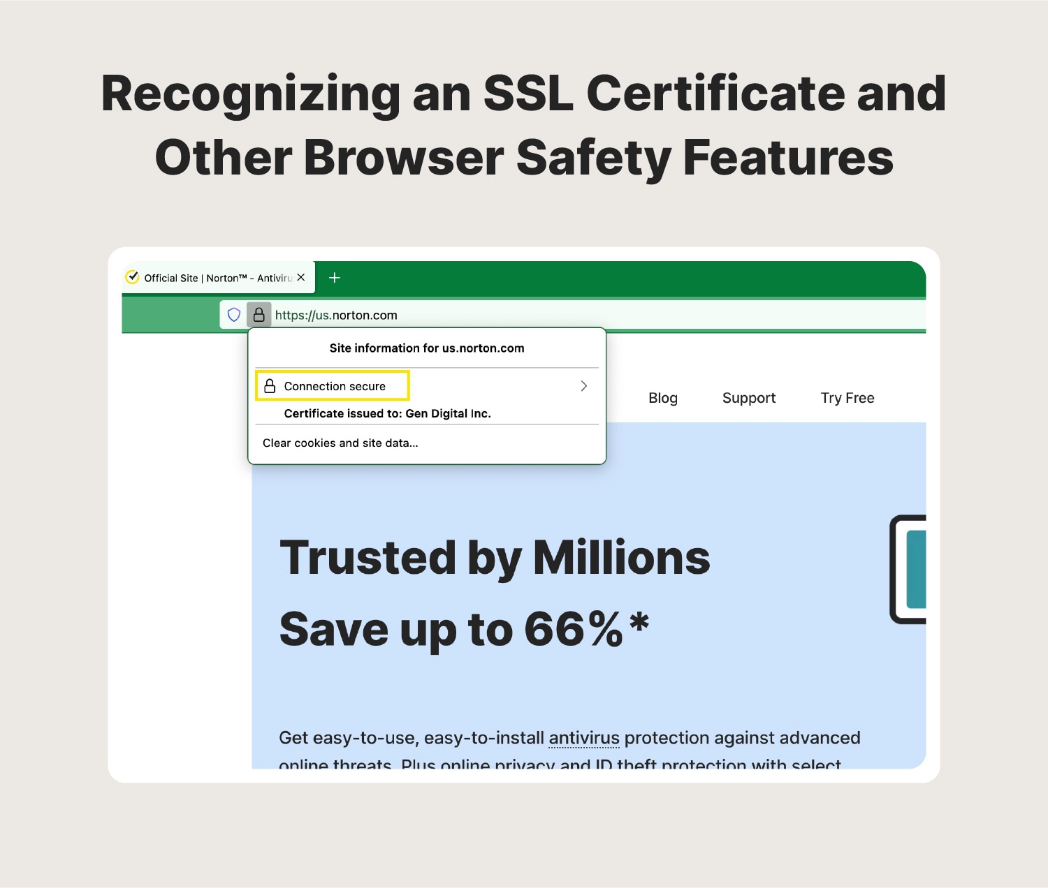 Image showing the SSL certificate and other safety information when using a web browser.
