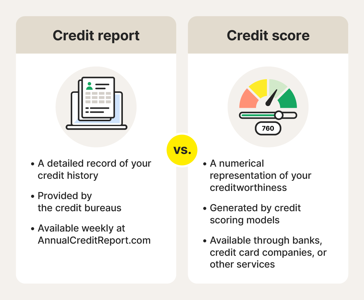 Comparison of credit report vs. credit score.