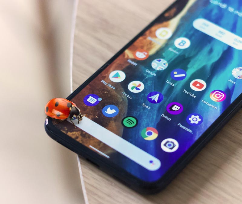 Photo of a ladybug on a phone, visualizing that androids need an antivirus.