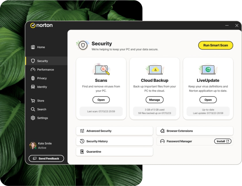 A screenshot showing the Norton AntiVirus Plus main dashboard UI.