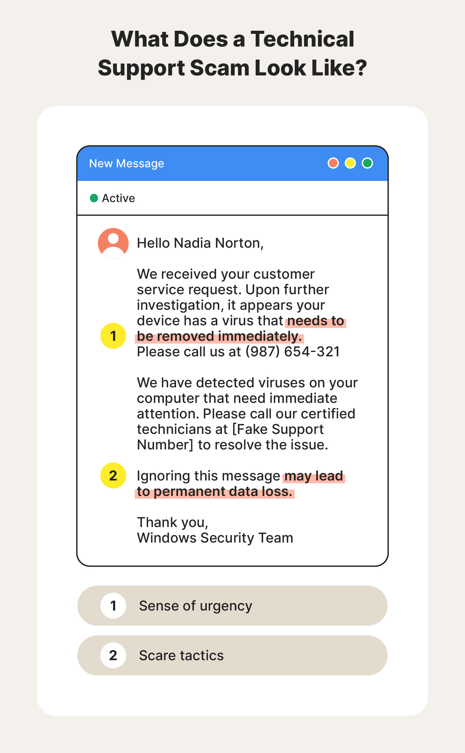 An example of a Google Chat scam technical support message. 