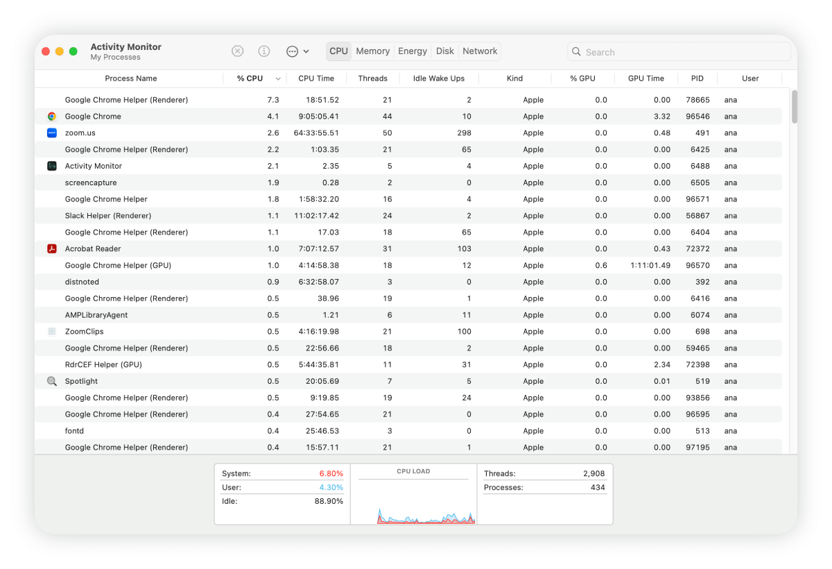 A screenshot of processes in a Mac’s Activity Monitor.