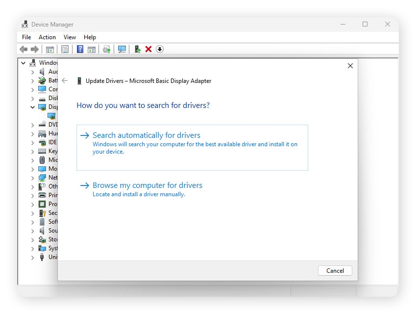 The Windows 11 Device Manager.