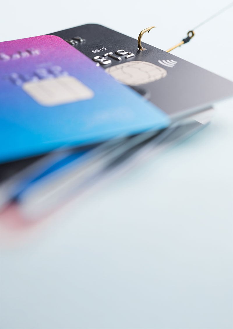 Credit cards on a fishing hook, representing the risk of phishing, a common internet scam.