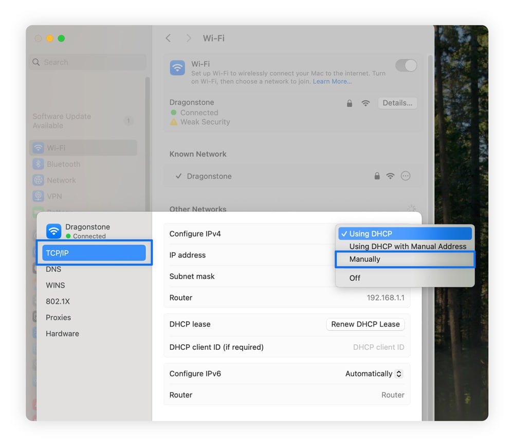 A screenshot showing how to change your local IP manually on macOS.