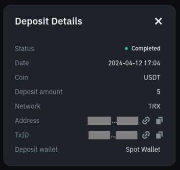 USDT Cryptocurrency transaction sent by the scammers to our crypto wallet
