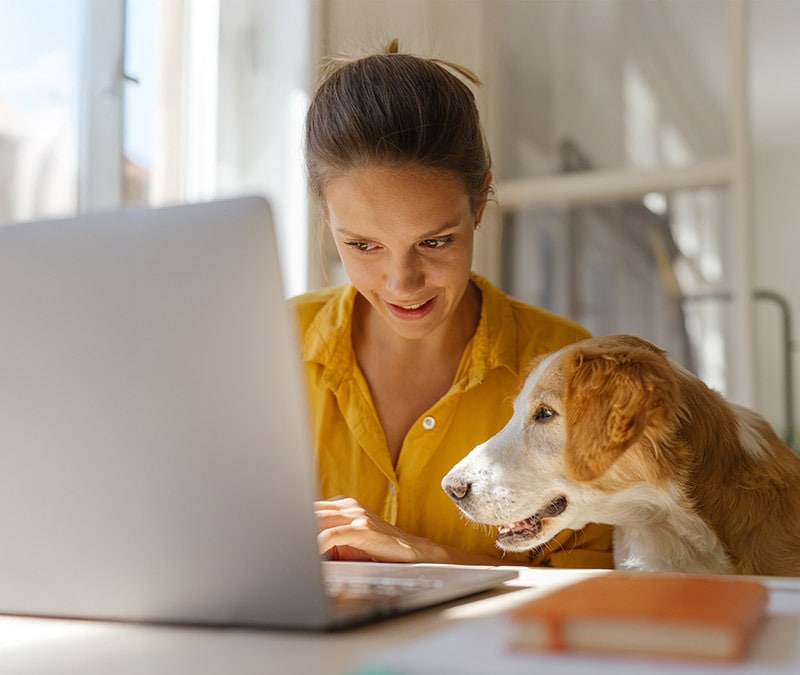 A woman browses on her laptop with her dog beside her.