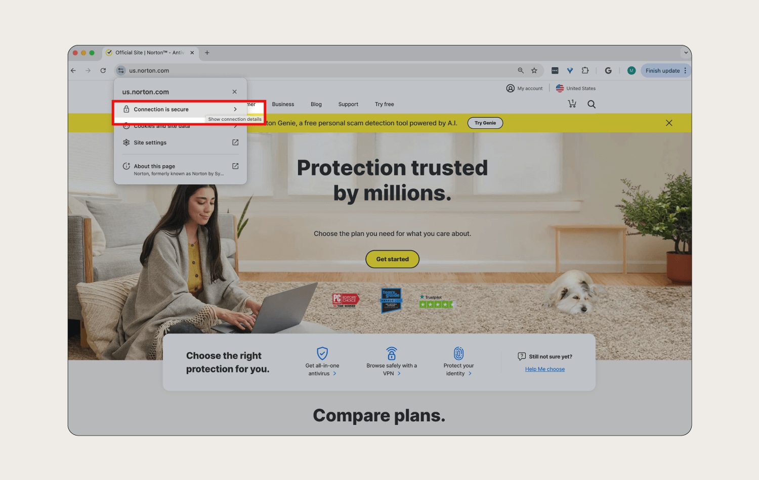 An image showing how to know if a website is secure and protected by an SSL certificate.