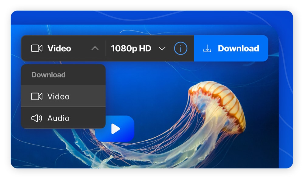 A screenshot of the Norton Private Browser Video Downloader.