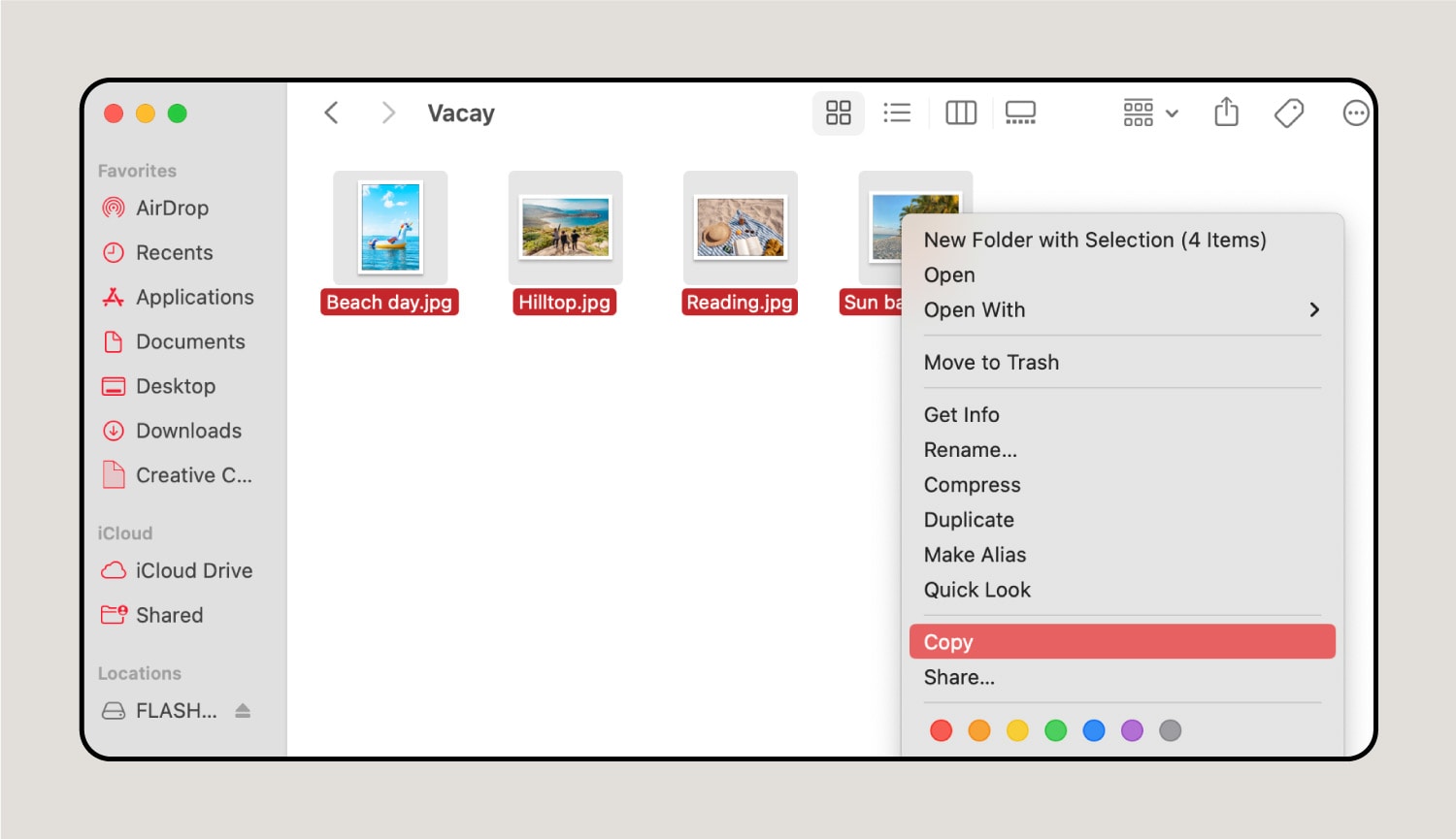 Screenshot showing how to copy files so you can move them to your flash drive or another folder. 