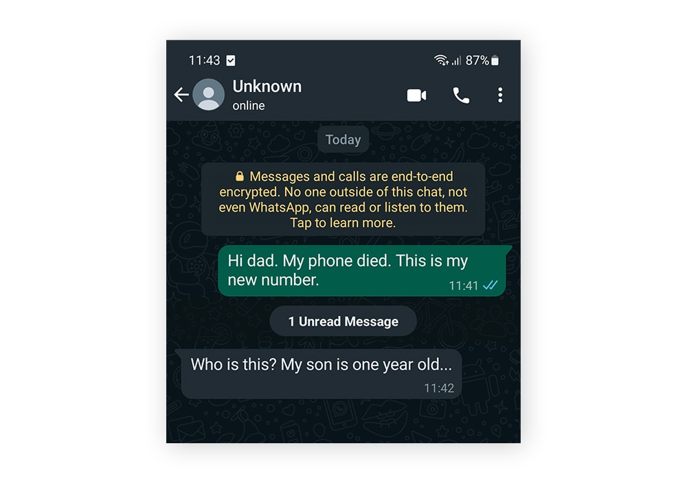 13 WhatsApp scams to know and avoid in 2024 Norton