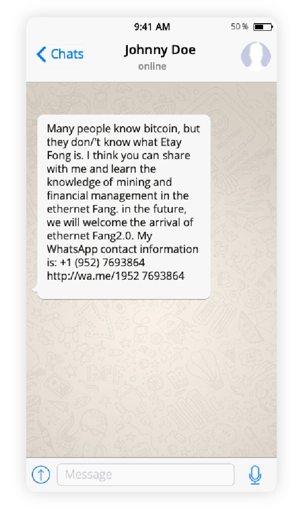 A chat exchange illustrating a WhatsApp crypto scam.