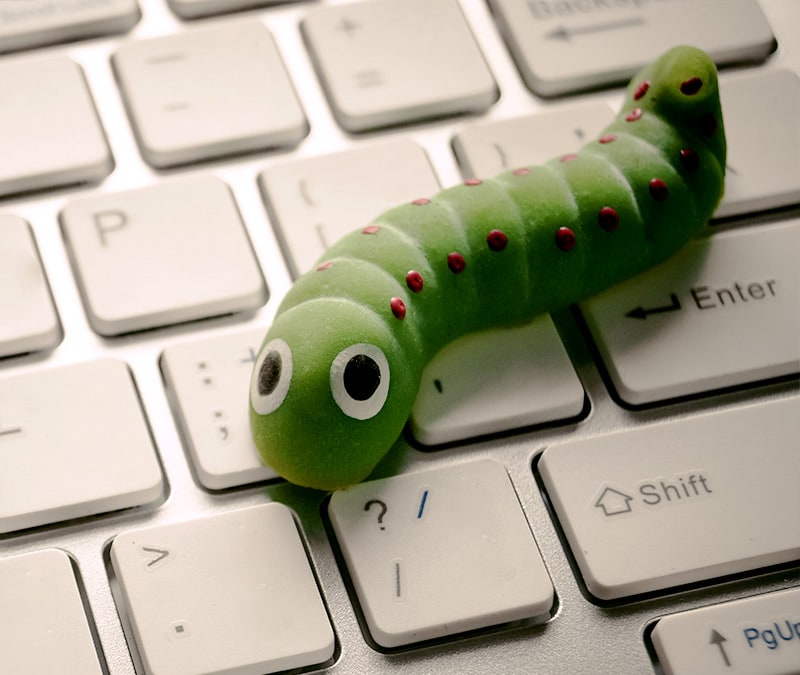 An image of a computer worm crawling across the keyboard.