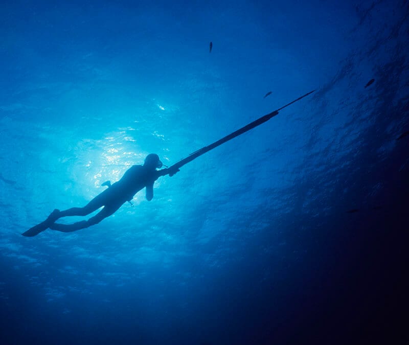 What is spear phishing? Definition and examples