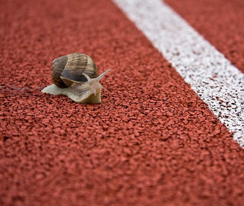 Why is Chrome so slow? 11 tips to speed up your browser