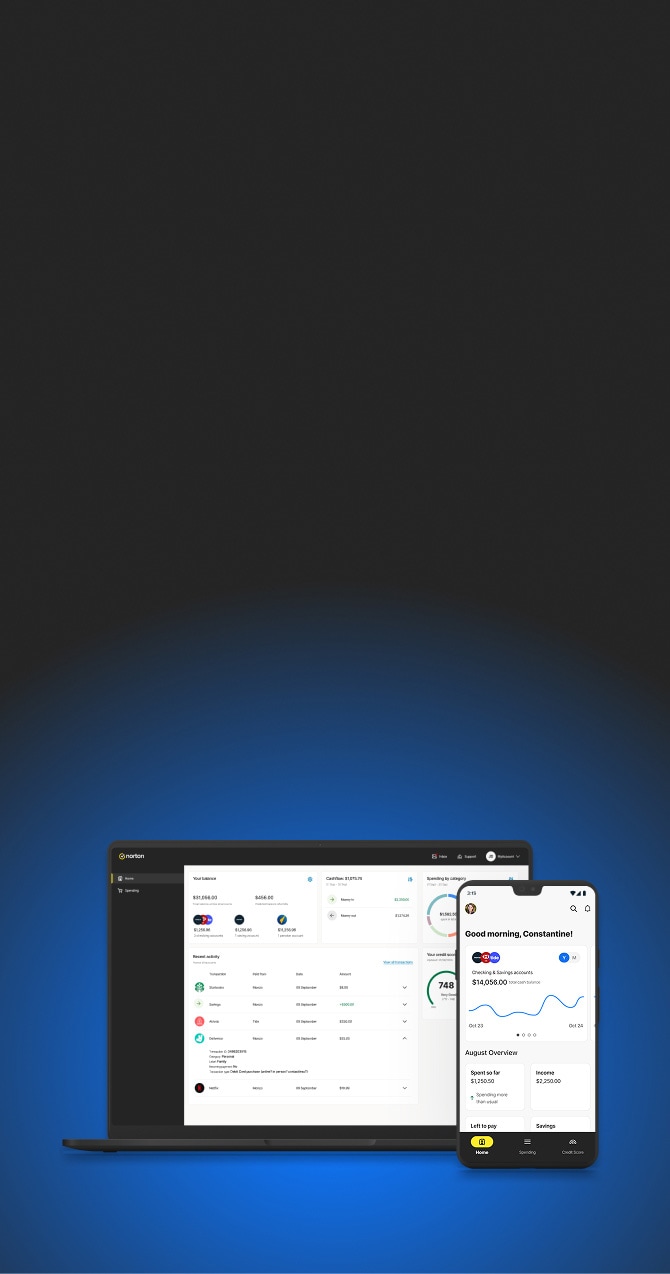 Norton Money Image Graphic.
