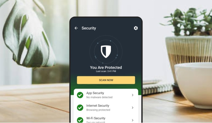 Kig forbi At placere Rosefarve Norton Mobile Security| App to help protect your Android